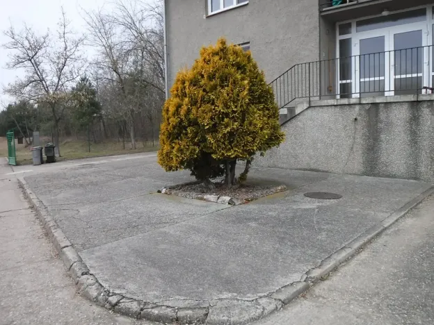 Prodej vícegeneračního domu, Veletov, 822 m2