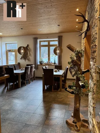 Pronájem restaurace, Horní Lhota, 338 m2