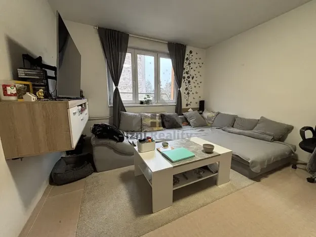 Prodej bytu 2+1, Trhové Sviny, Branka, 51 m2