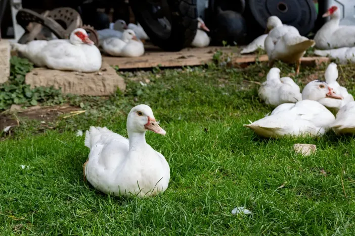 Prodej chaty, Litíč, 60 m2
