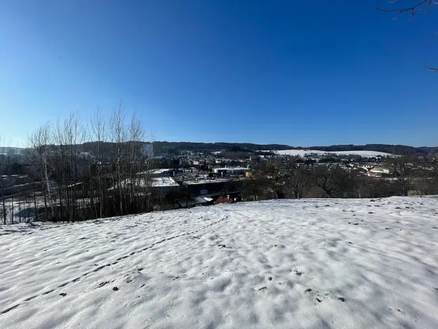 Prodej pozemku pro bydlení, Česká Třebová, 6890 m2