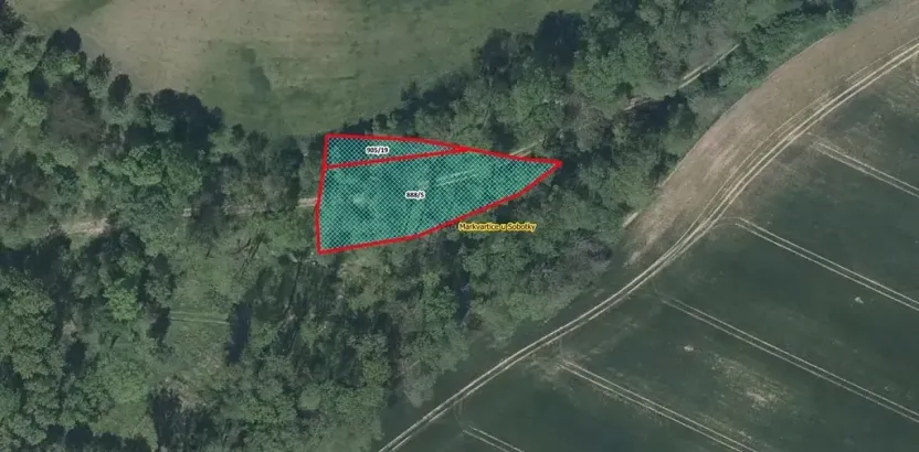 Prodej louky, Markvartice, 1370 m2