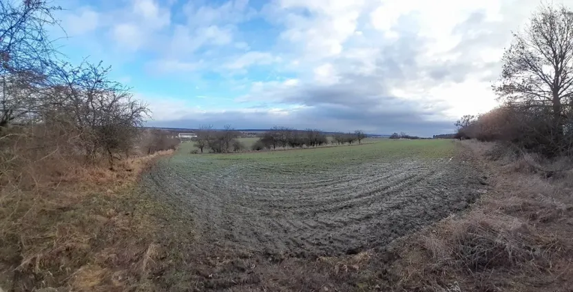 Prodej sadu/vinice, Malý Újezd, 7862 m2