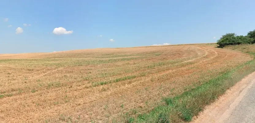 Prodej pole, Mělník, 22731 m2