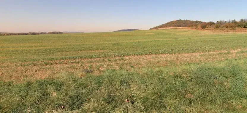 Prodej pole, Dobroměřice, 28792 m2