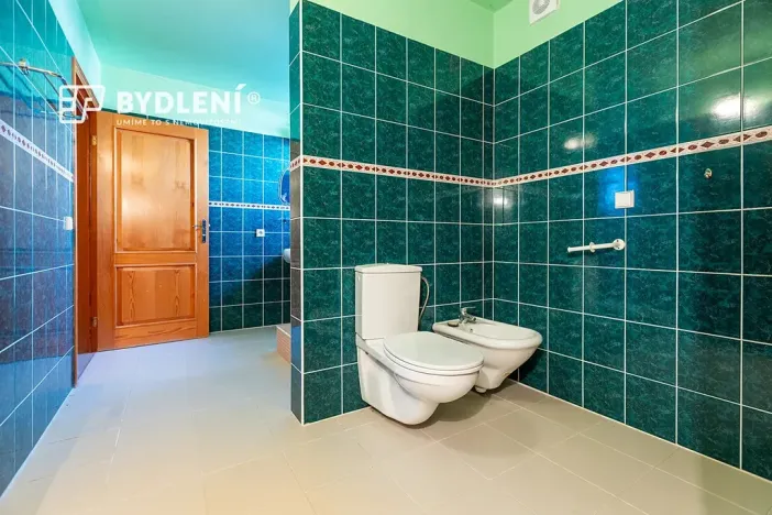 Prodej rodinného domu, Zahořany, 250 m2