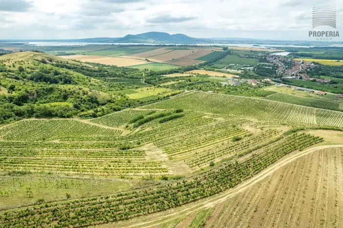Prodej sadu/vinice, Pouzdřany, 1120 m2
