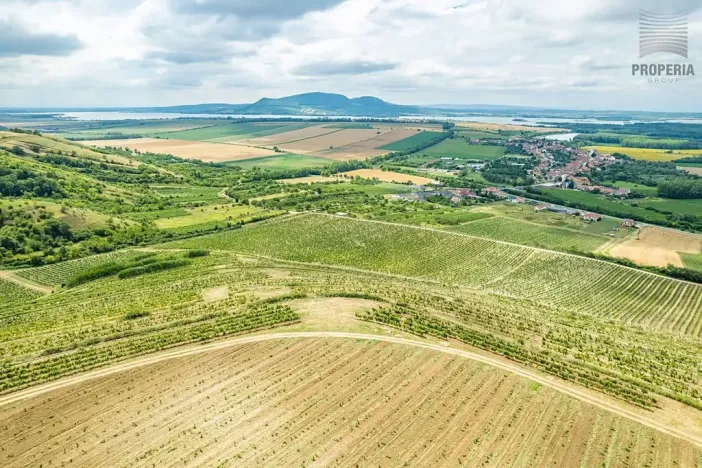 Prodej sadu/vinice, Pouzdřany, 1120 m2