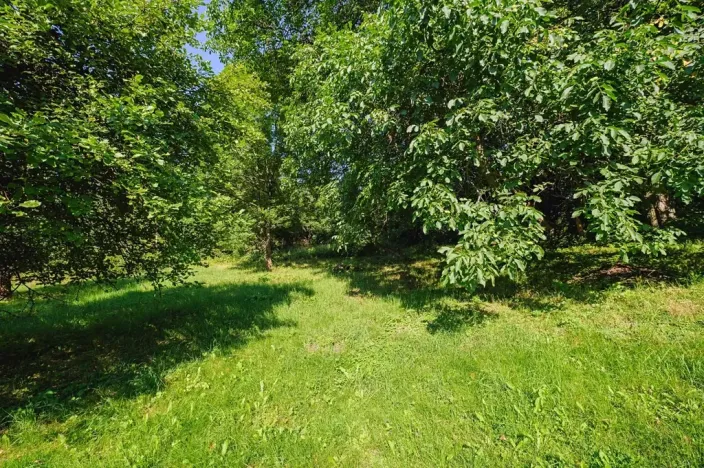 Prodej pozemku pro bydlení, Zlatá Olešnice, 4188 m2