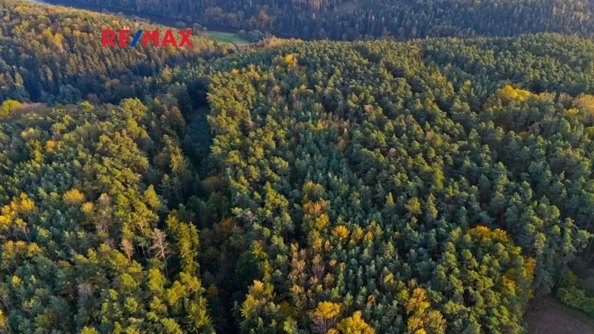 Prodej lesa, Všehrdy, 35057 m2