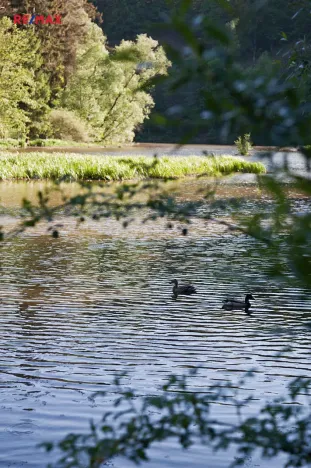 Prodej chaty, Plasy, 26 m2