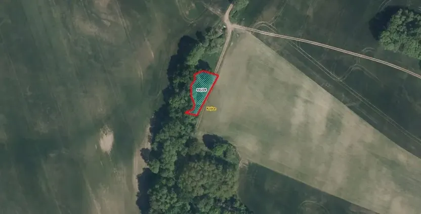 Prodej louky, Kojice, 737 m2