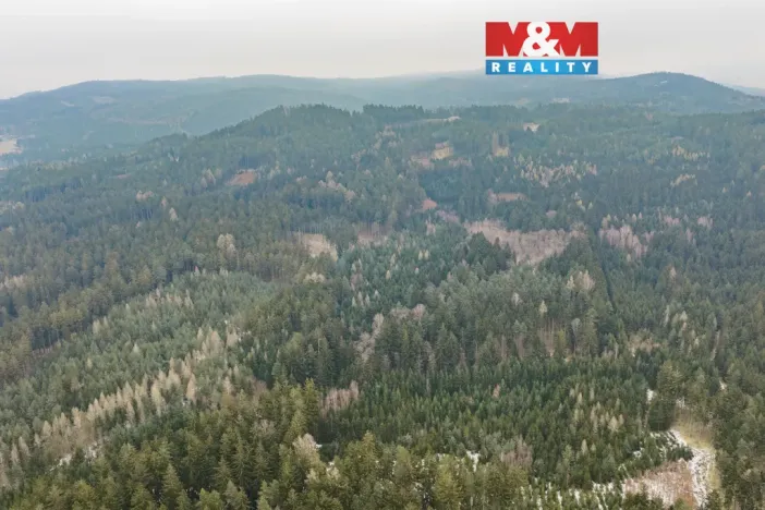 Prodej lesa, Hůrky, 6294 m2