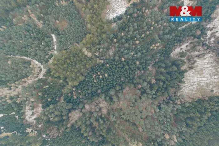 Prodej lesa, Hůrky, 6294 m2