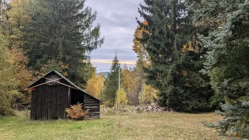 Prodej chaty, Nejdek, 80 m2