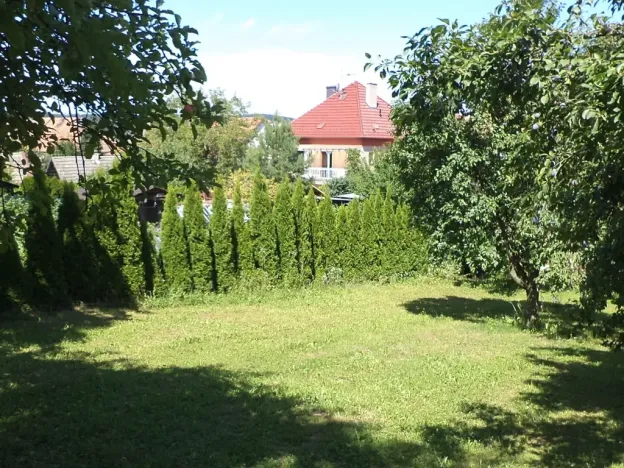 Dražba louky, Podolí, 10906 m2