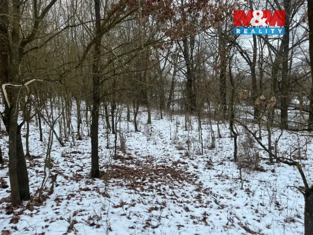 Prodej pole, Písek - Hradiště, 5135 m2