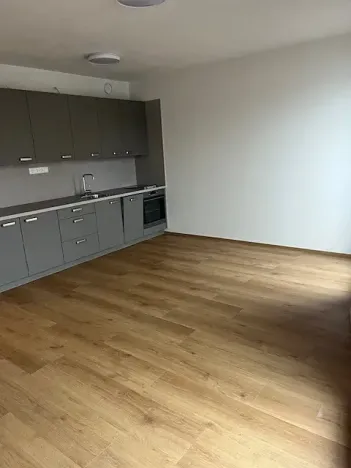 Pronájem bytu 1+kk, České Budějovice, Dobrovodská, 33 m2