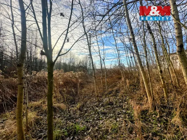 Prodej pozemku pro bydlení, Petřvald, Ostravská, 4322 m2