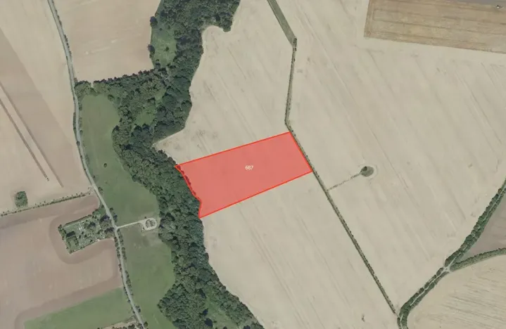 Prodej pole, Sluštice, 26376 m2