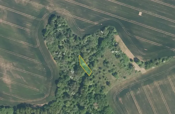 Prodej pole, Jalubí, 7416 m2