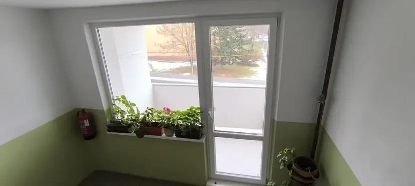 Prodej bytu 1+1, Cheb, Lesní, 36 m2