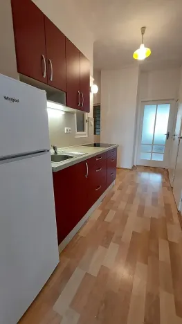 Pronájem bytu 1+1, Praha - Holešovice, Dělnická, 50 m2