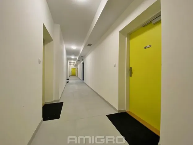 Pronájem bytu 1+kk, Brno, Reissigova, 41 m2