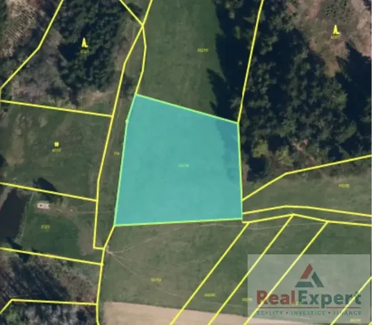 Prodej pole, Nový Rychnov, 73681 m2