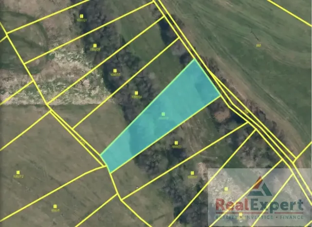 Prodej pole, Nový Rychnov, 73681 m2