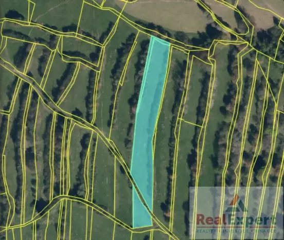 Prodej pole, Nový Rychnov, 73681 m2