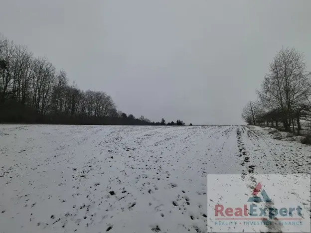 Prodej pole, Nový Rychnov, 73681 m2