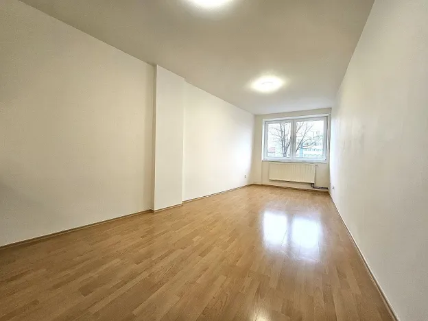 Pronájem bytu 1+kk, Brno, Svitavské nábřeží, 28 m2