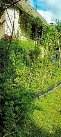 Prodej zahrady, Liberec, Kateřinská, 451 m2