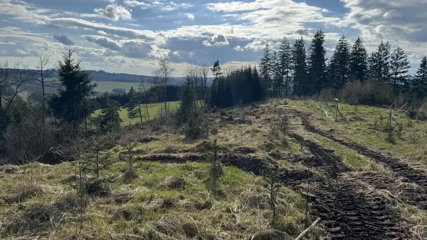 Prodej lesa, Pecka, 35108 m2