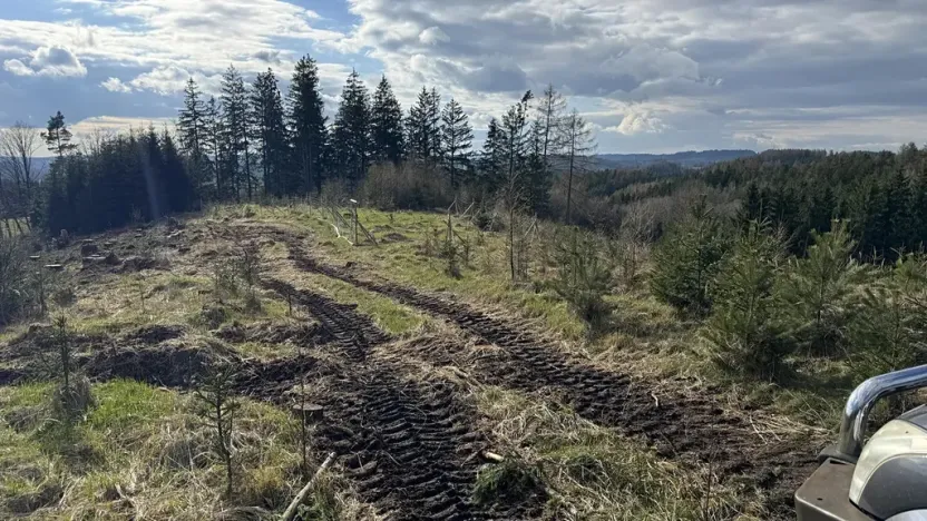 Prodej lesa, Pecka, 35108 m2