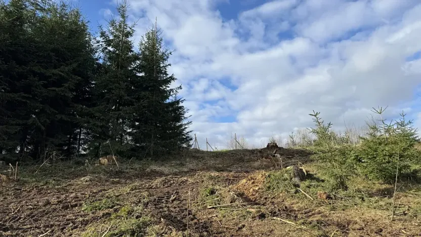 Prodej lesa, Pecka, 35108 m2