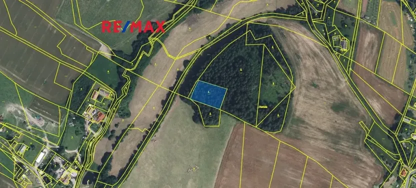 Prodej lesa, Písařov, 2762 m2