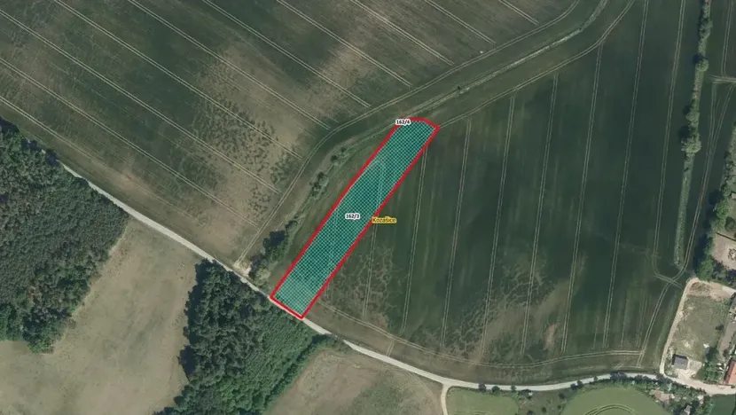 Prodej pole, Jankovice, 6844 m2