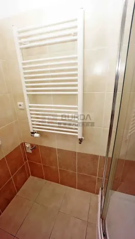 Pronájem bytu 1+kk, Neratovice, 25 m2