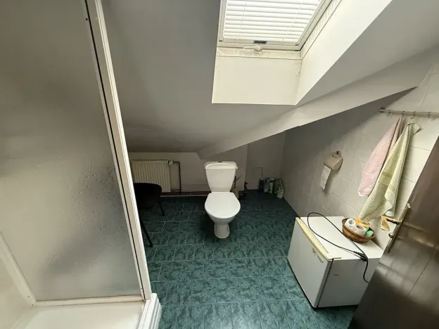 Pronájem pokoje, Praha - Nové Město, Tyršova, 20 m2