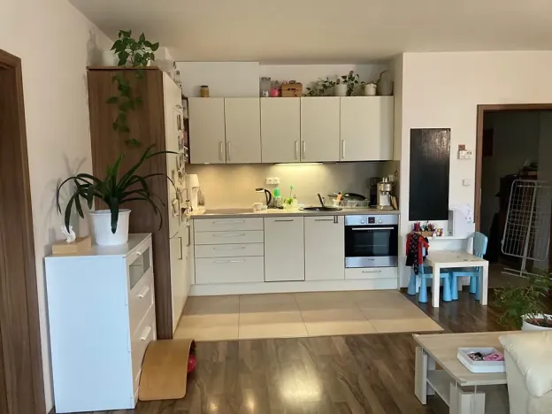 Pronájem bytu 2+kk, Liberec, Horská, 55 m2