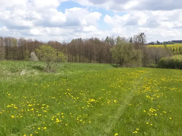 Dražba pozemku, Vítkov, 5357 m2