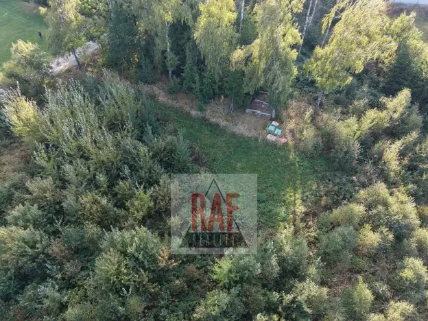 Prodej lesa, Sazomín, 11295 m2