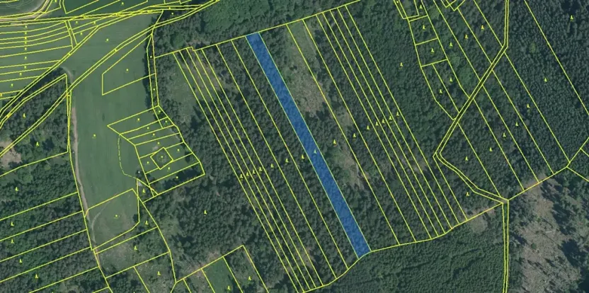Prodej lesa, Plzeň, 5650 m2