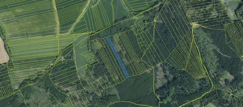 Prodej lesa, Plzeň, 5650 m2