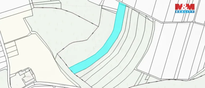 Prodej lesa, Olbramice, 12592 m2