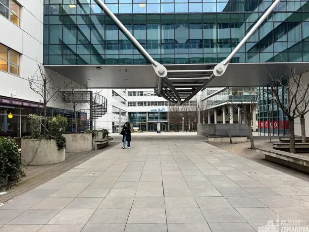 Pronájem kanceláře, Praha - Smíchov, Karla Engliše, 740 m2