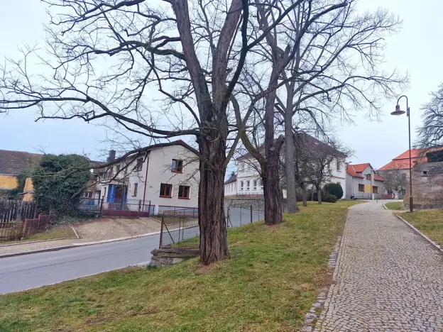 Prodej rodinného domu, Svojšín, 230 m2