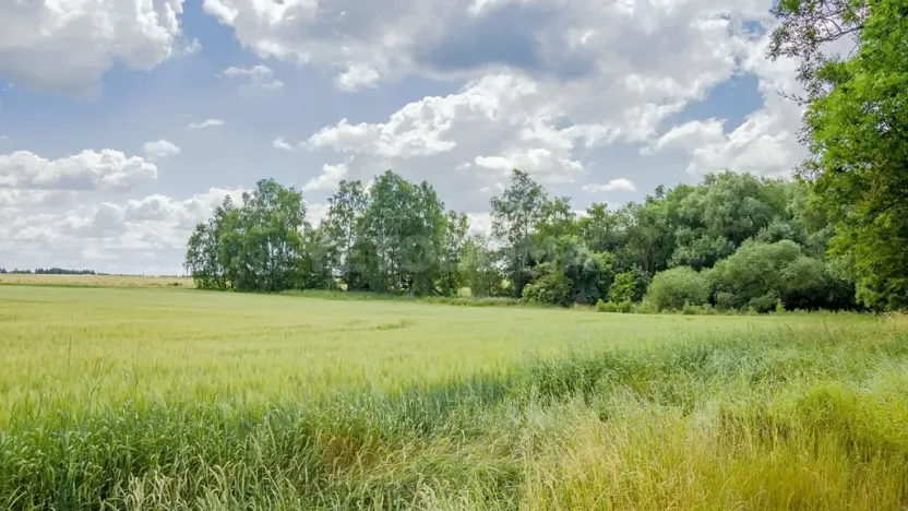 Prodej pozemku pro bydlení, Olbramov, 2128 m2